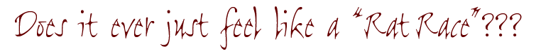 does it ever just feel like a rat race?